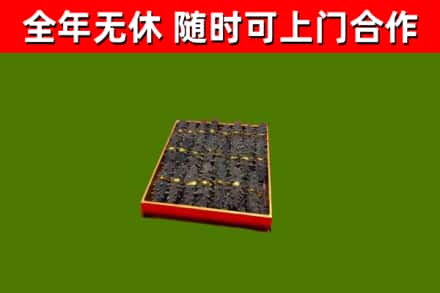 秦淮回收海参